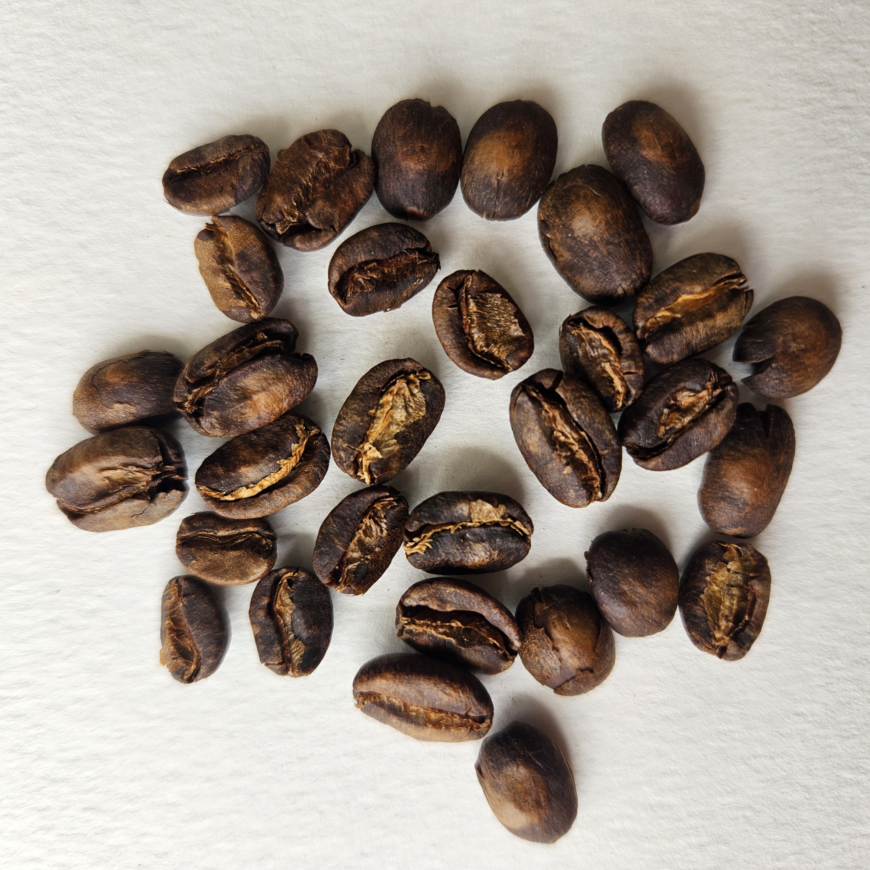 Peruvian specialty coffee beans: Geisha Korea - Cajamarca [Angel M]