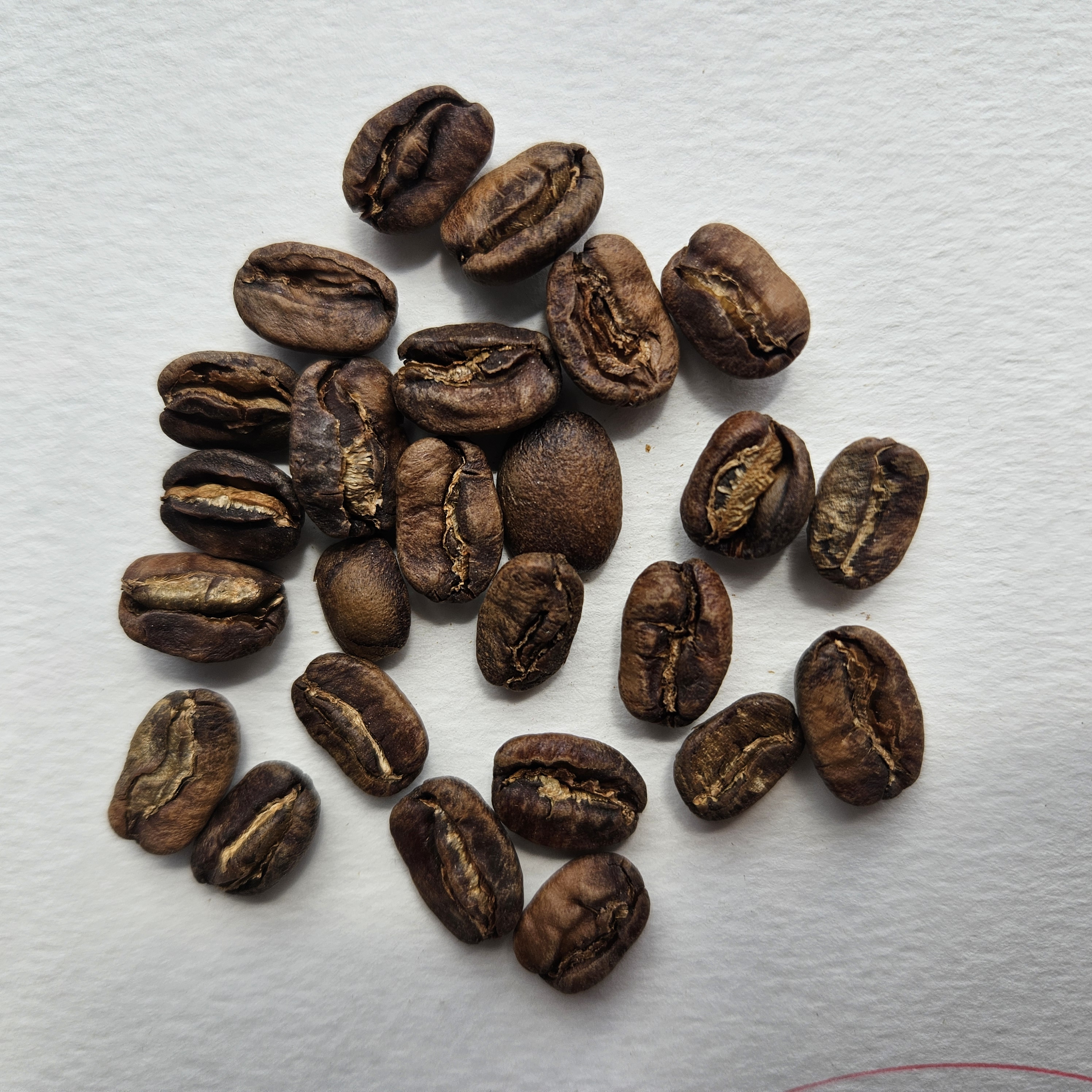 Peruvian specialty coffee beans: Cusco [Bourbon]