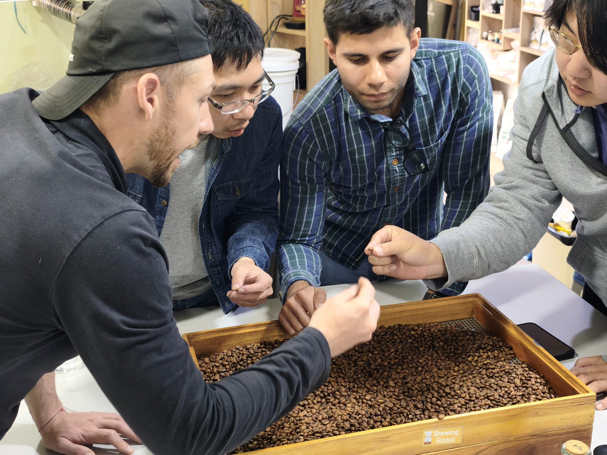 Guests sorting green coffee beans during the Cusco coffee workshop