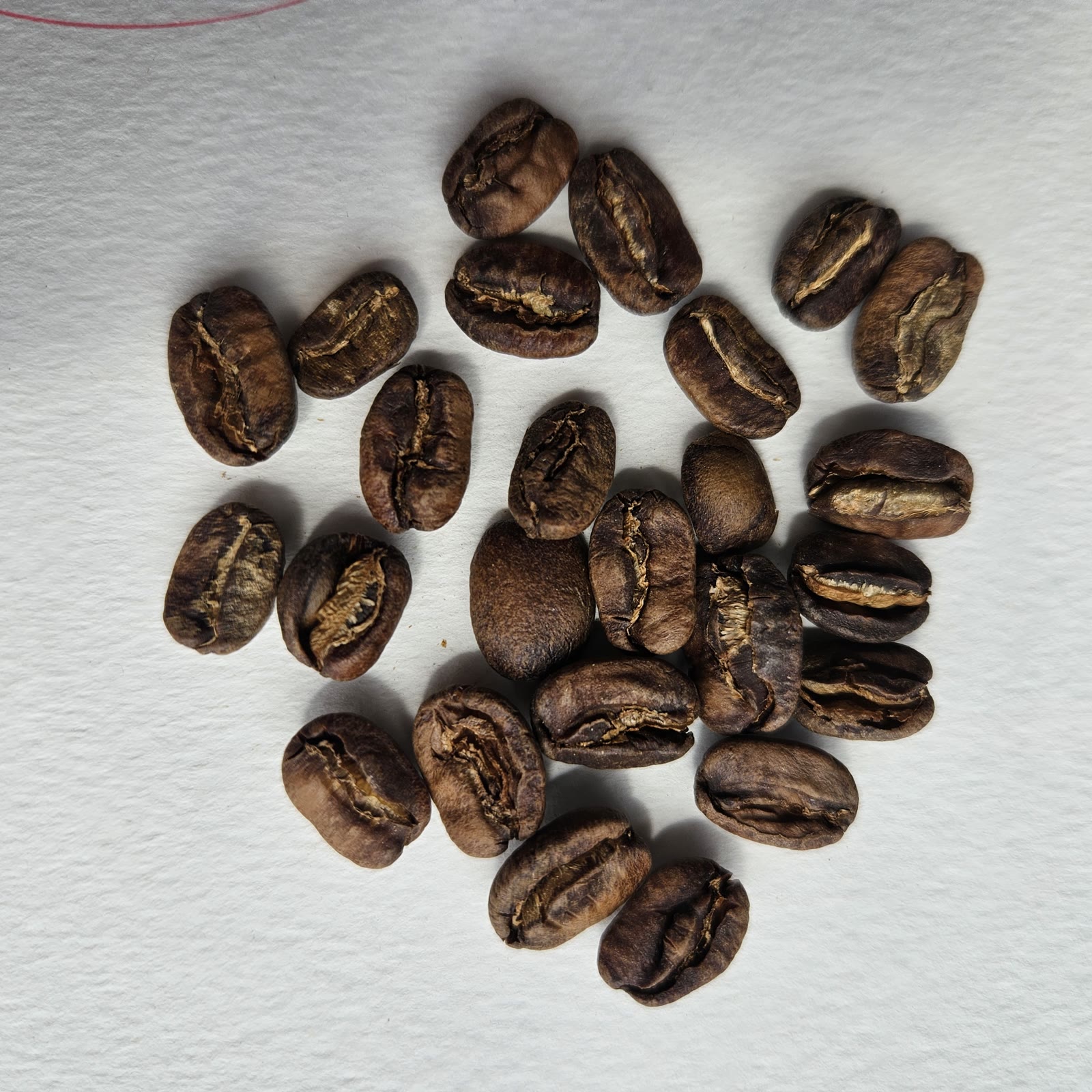 Peruvian specialty coffee beans: Cajamarca [Pachamara]
