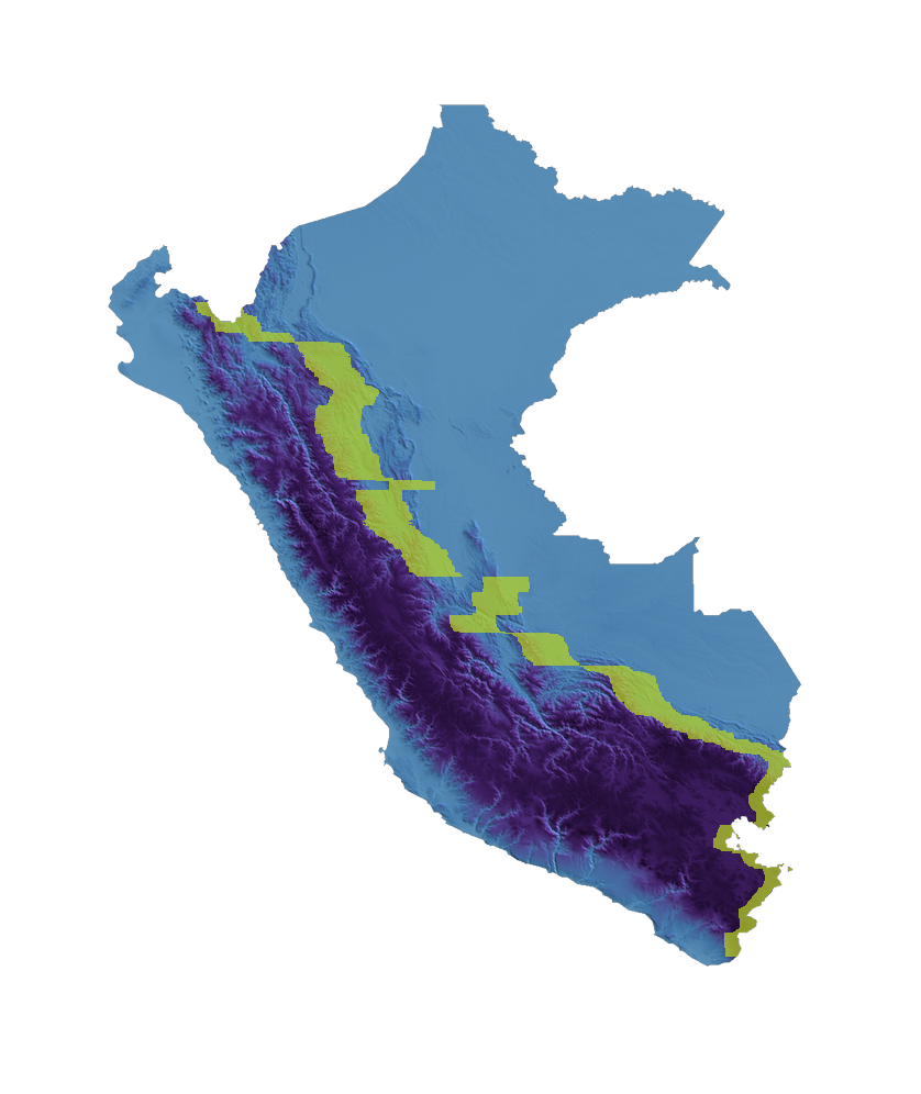 Shaded relief of Peru. The lime band is the coffee slope between the Andes and the jungle.