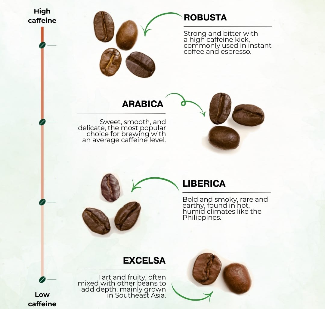 Four different beans