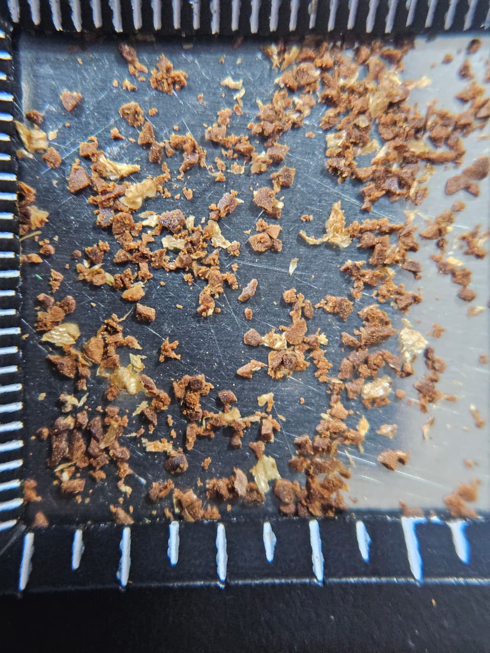Coffee grinds