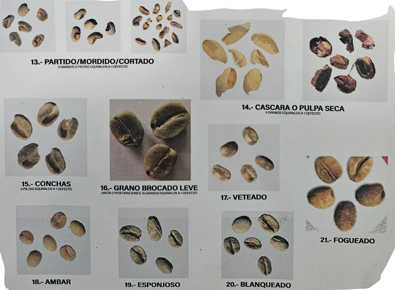 Coffee Defects 2